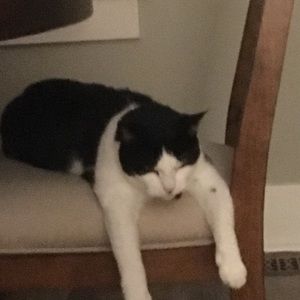 Meet your Posher, LBJ